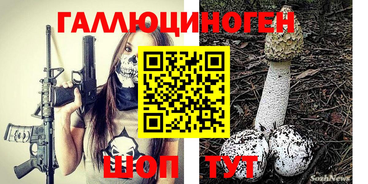 Бирск  Галлюциногенные грибы Cubensis  Вход с VPN 